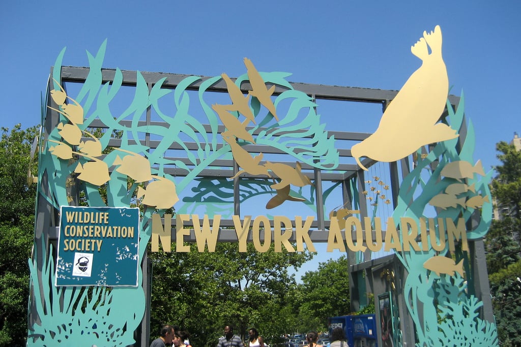 NY Aquarium